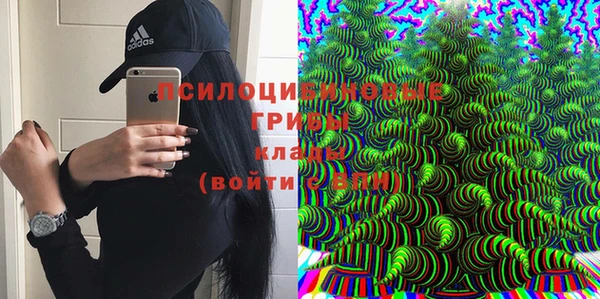 мескалин Алексин