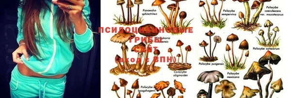 марки lsd Арсеньев
