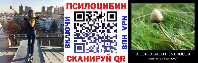 Псилоцибиновые грибы GOLDEN TEACHER Россошь